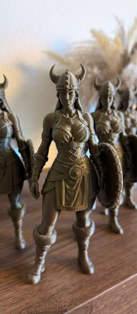 A bronze Shield Maiden figure with her shield